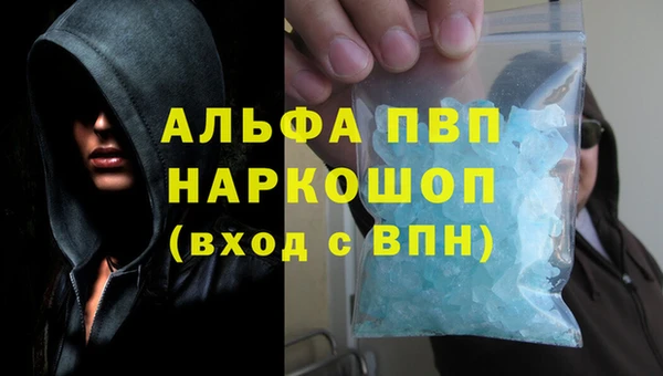 стафф Вяземский