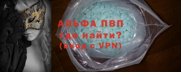 стафф Вяземский