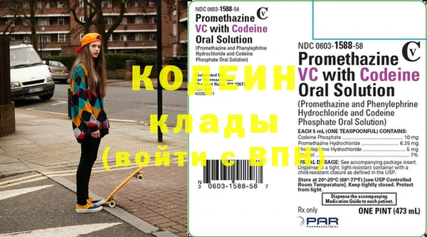 прущие грибы Вязники