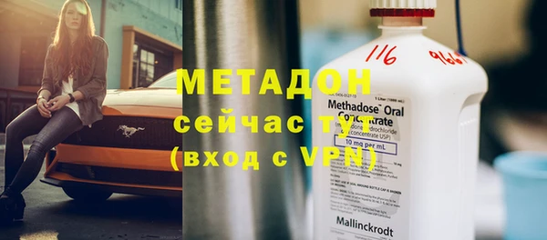 прущие грибы Вязники
