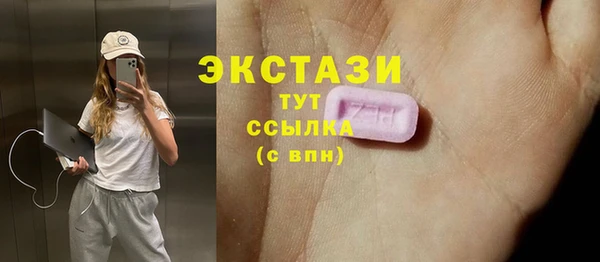 прущие грибы Гатчина