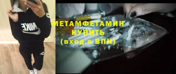 прущие грибы Вязники