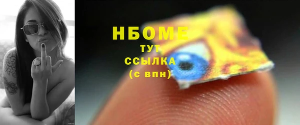 прущие грибы Вязники