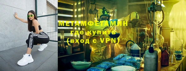 прущие грибы Вязники