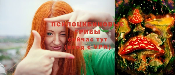 стафф Вяземский