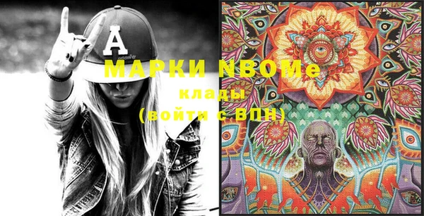 прущие грибы Вязники