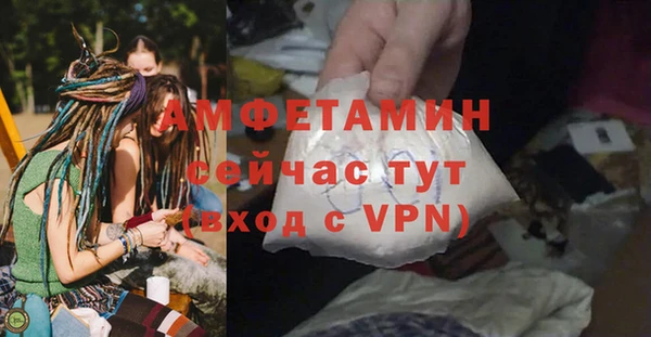 прущие грибы Вязники