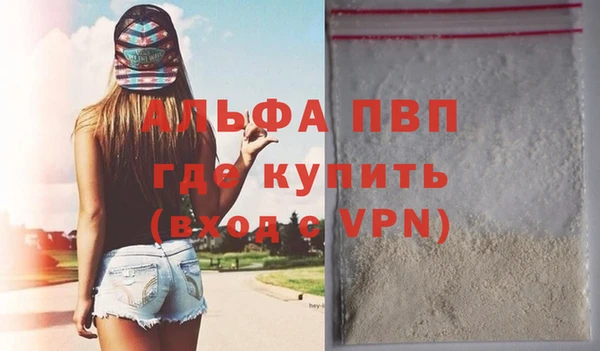 прущие грибы Вязники