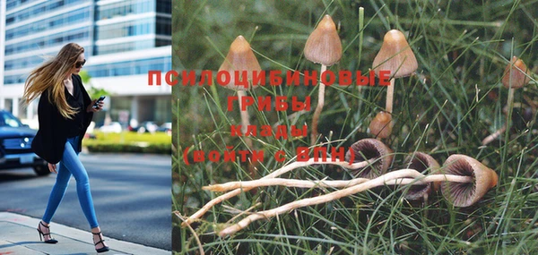 стафф Вяземский